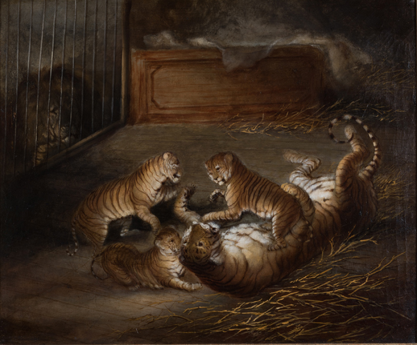 Three liger cubs bred between a lion and a tigress at the Royal Menagerie, Windsor Great Park, Oct 1824, Attr to Richard Barrett D Private Collection.  From Royal Pavilion Brighton's forthcoming Exotic Creatures exhibition.