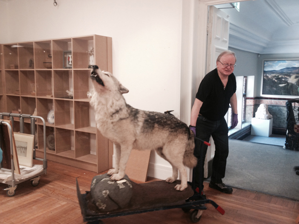 Tim Padley, Curator of Archaeology at Tullie House Museum and Art Gallery returns a wolf to the stores after it featured in the museum's summer exhibition.