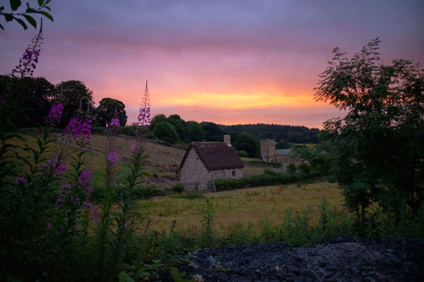 sunrise at beamish with local plants and new 1820s cottage