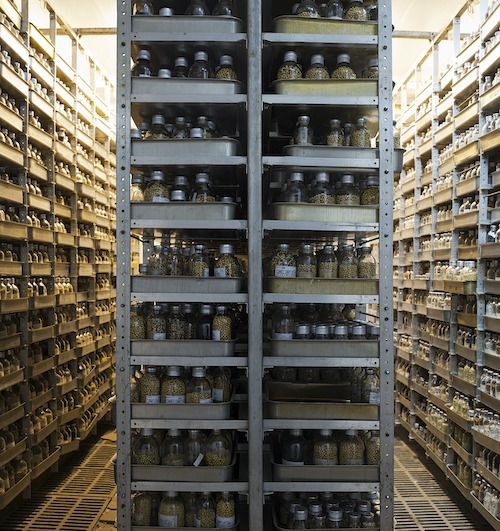 photograph of seed vault