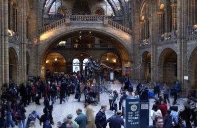 Natural History Museum entrance hall