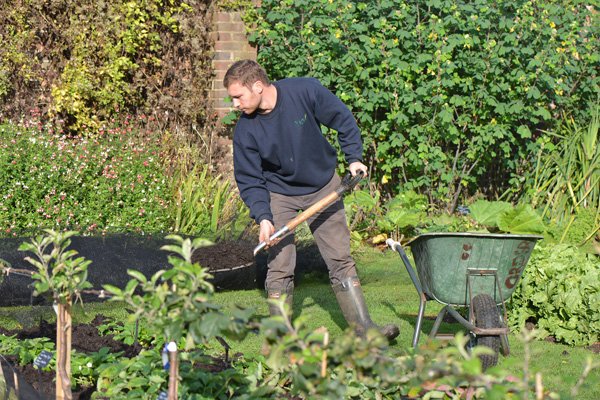 Joe Archer, Kew horticulturist in the Kitchen Garden