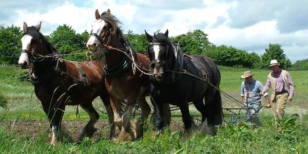 Beamish Museum