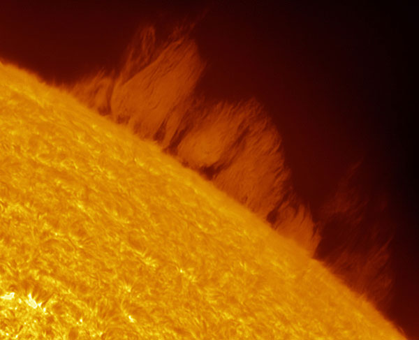 Wall of Plasma © Eric Toops (USA) A searing solar prominence extends outwards from the surface of the Sun. The ‘wall of plasma’ is the height of three times the Earth’s diameter. 