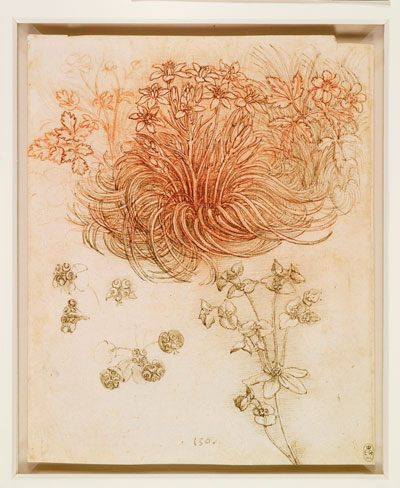 drawing of flowers