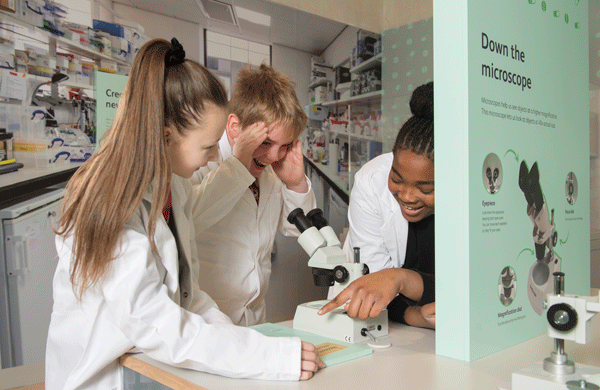 children look through microscope