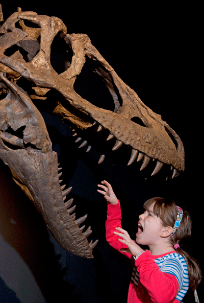 child with dinosaur skeleton, roaring back at the prehistoric beast