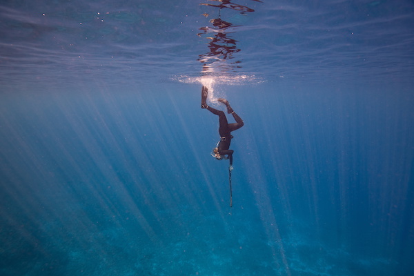 diver plunges into blue water