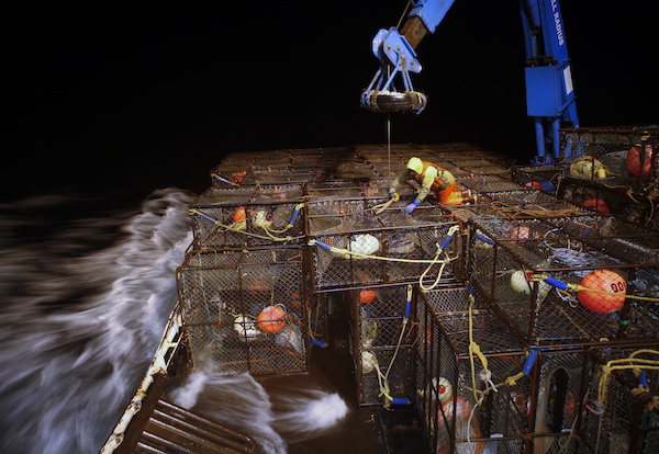 man on fishing boat standing on huge number of lobster pots