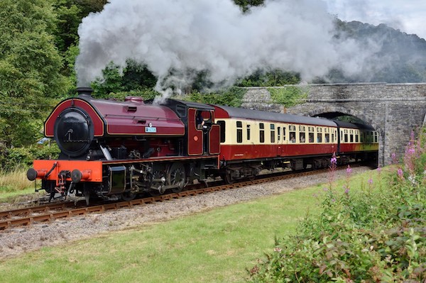 red steam train goes through tunnel