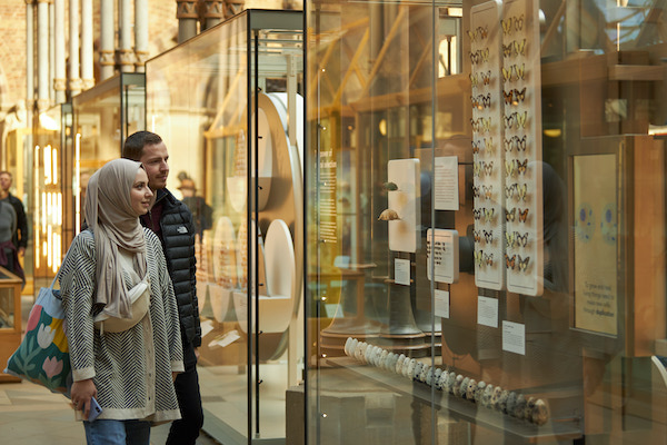 looking at butterfly display