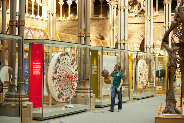 wideshot of museum with huge crab at centre of display