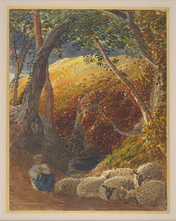 A woodland scene of orange, brown and green leaves. Trees bend over a clearing where a figures sits next to a flock of sheep. The figure has blue trousers and a white top and white hat. There are fields of yellow crops in the background. 