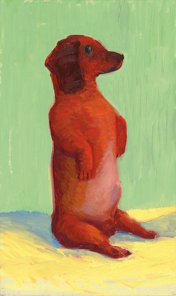 sausage dog sitting on its hind legs