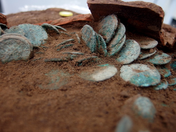 Photograph of a hoard of coins still embedded in dirt. They are coppery bronze in colour and part of a terracotta pot pokes out from the mound of earth. 
