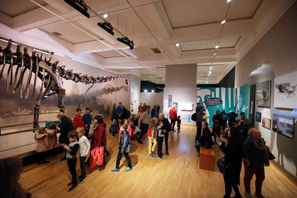 people look at dinosaur skeleton exhibition